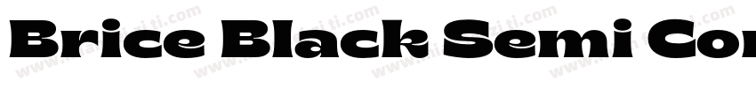 Brice Black Semi Con字体转换